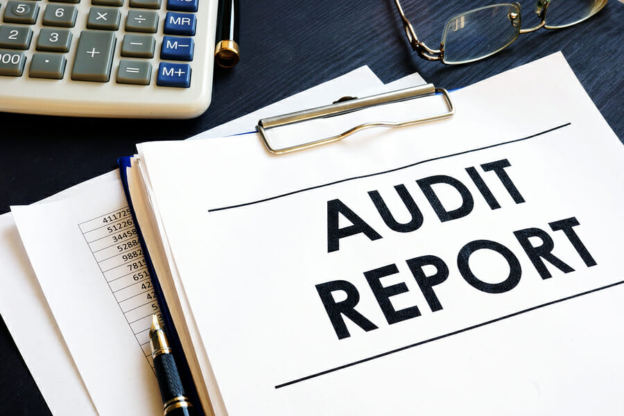 Business Audit